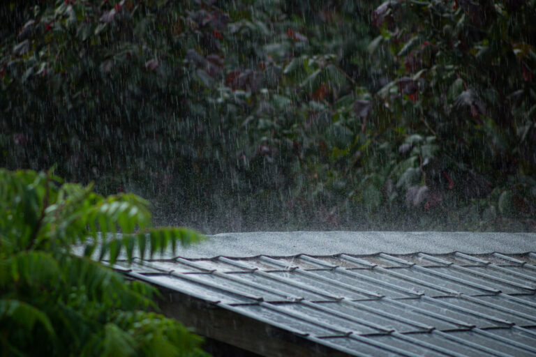 Stormwater Management: Blue Roofs vs. Green Roofs
