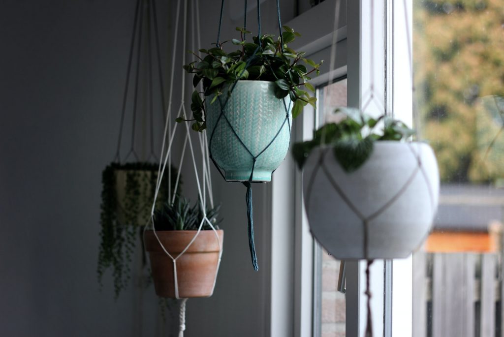 Four different pots hanging by a window from fabric plant hangers