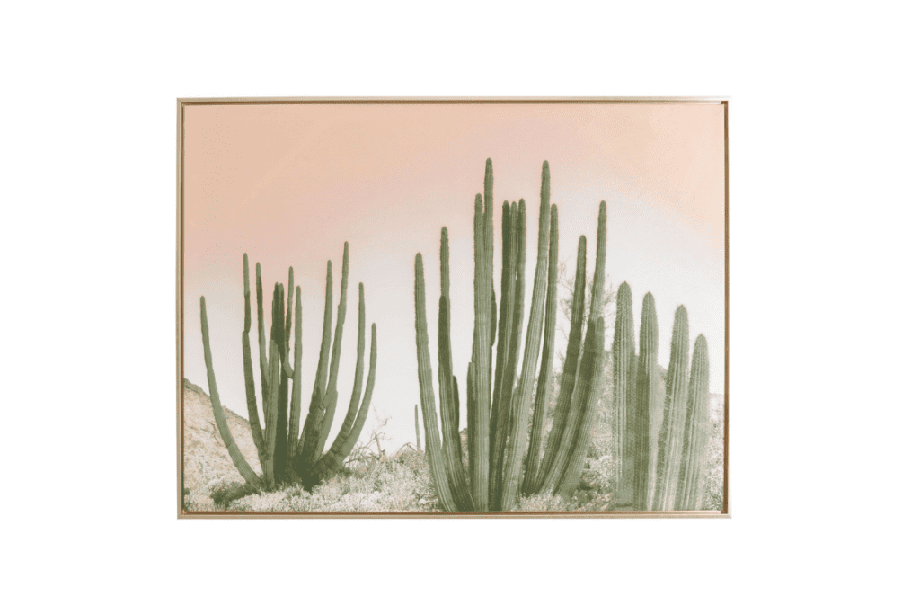 artwork of cacti in a desert