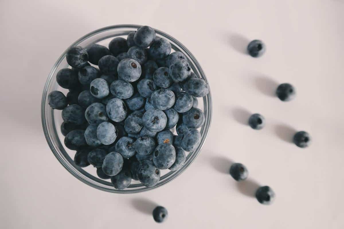 a clear bowl of blueberries