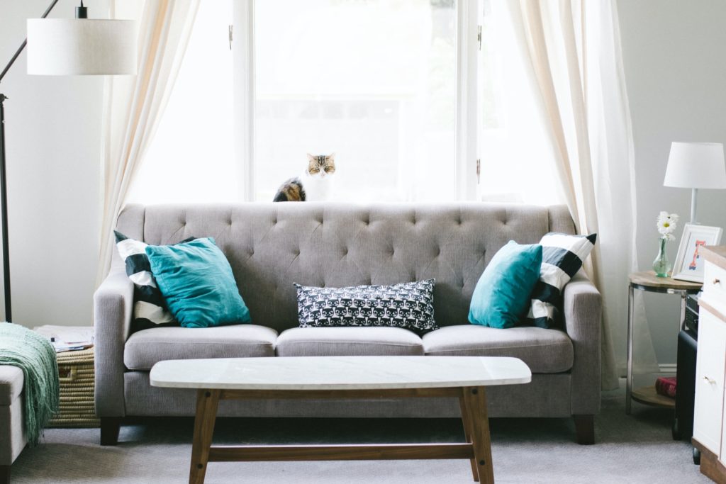 cute small couches that fit any space