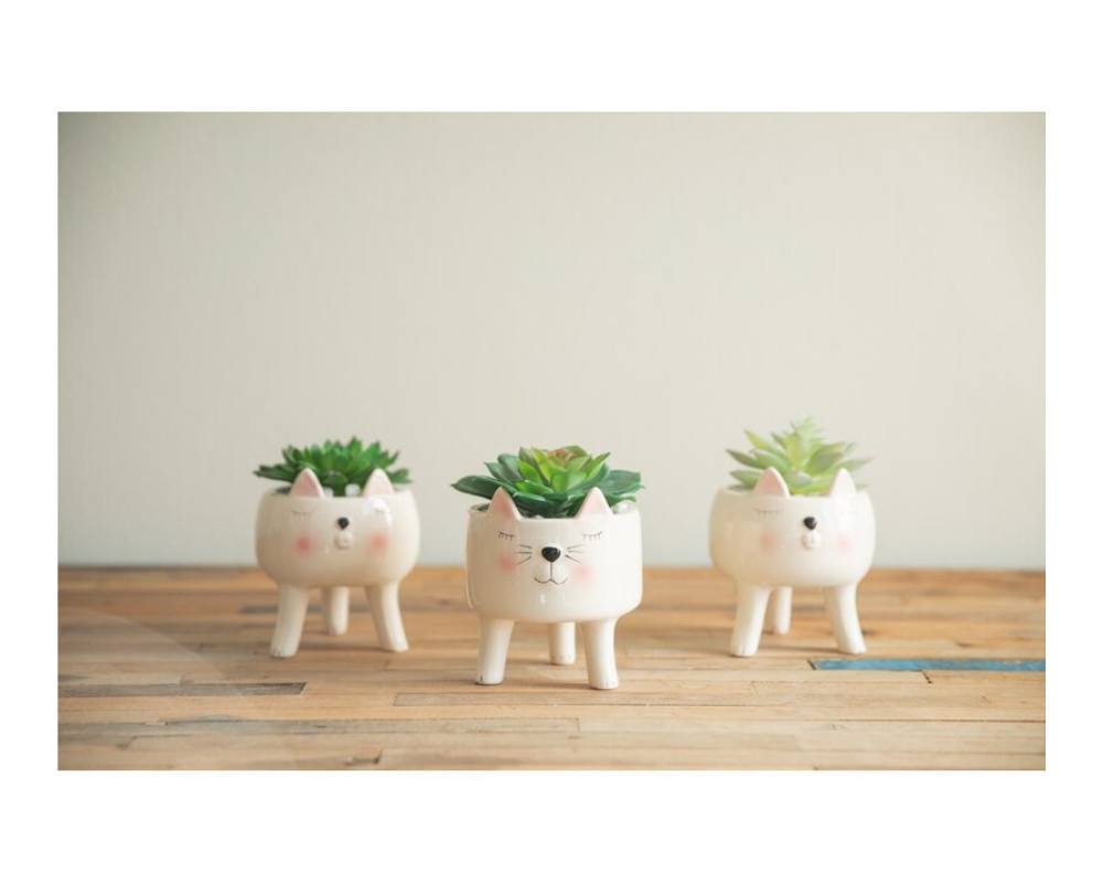 three cute cat flower pots for succulents