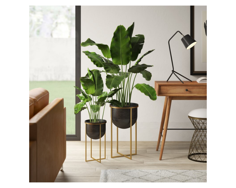 two gold minimalist planter stands
