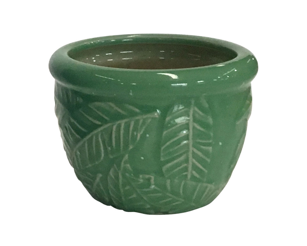 an empty small green flower pot