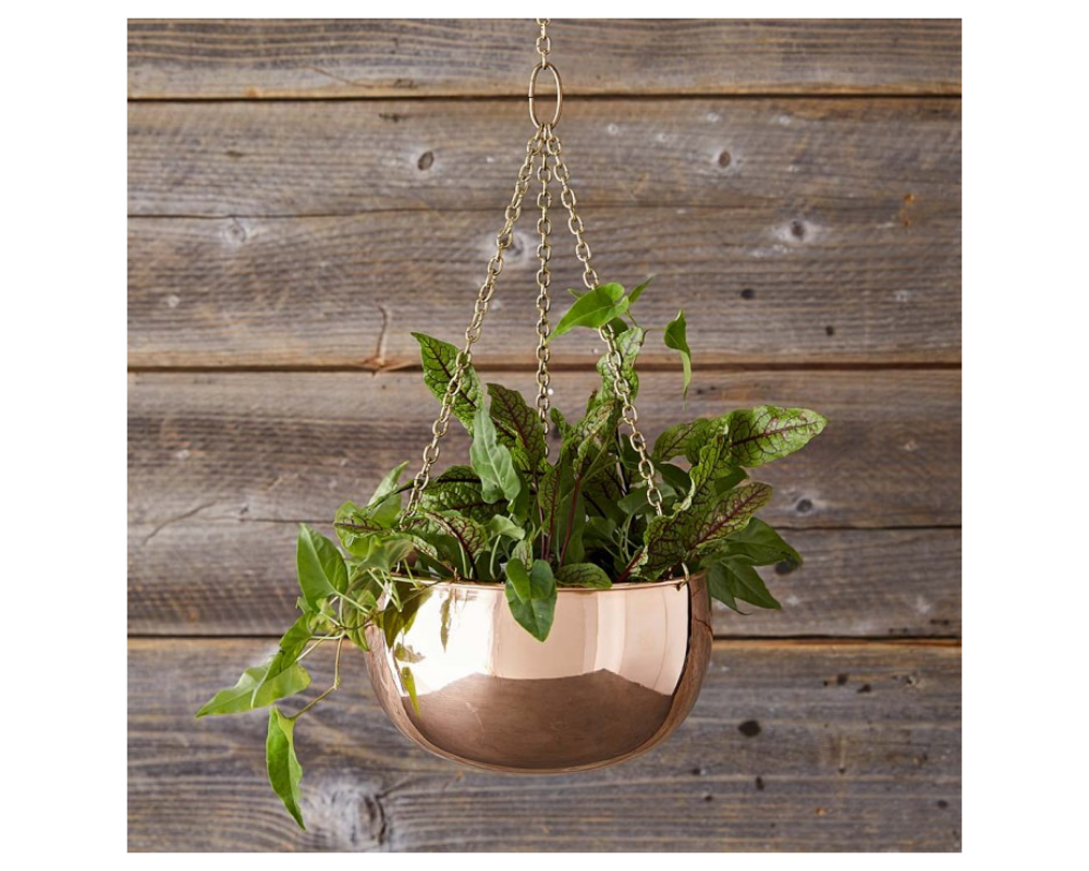 hanging copper flower pot holding a green plant
