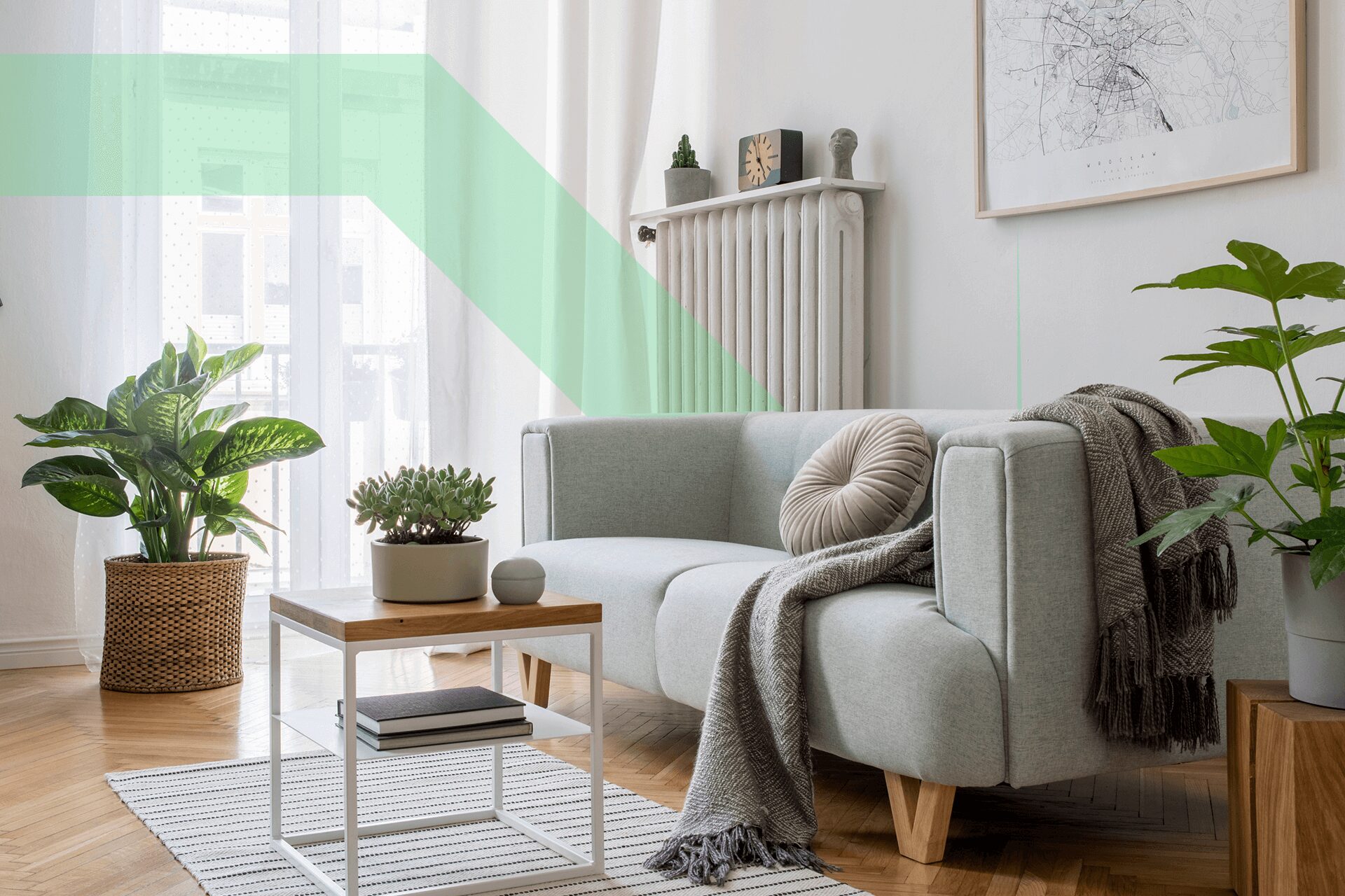 small living room with a gray couch, coffee table, and several plants