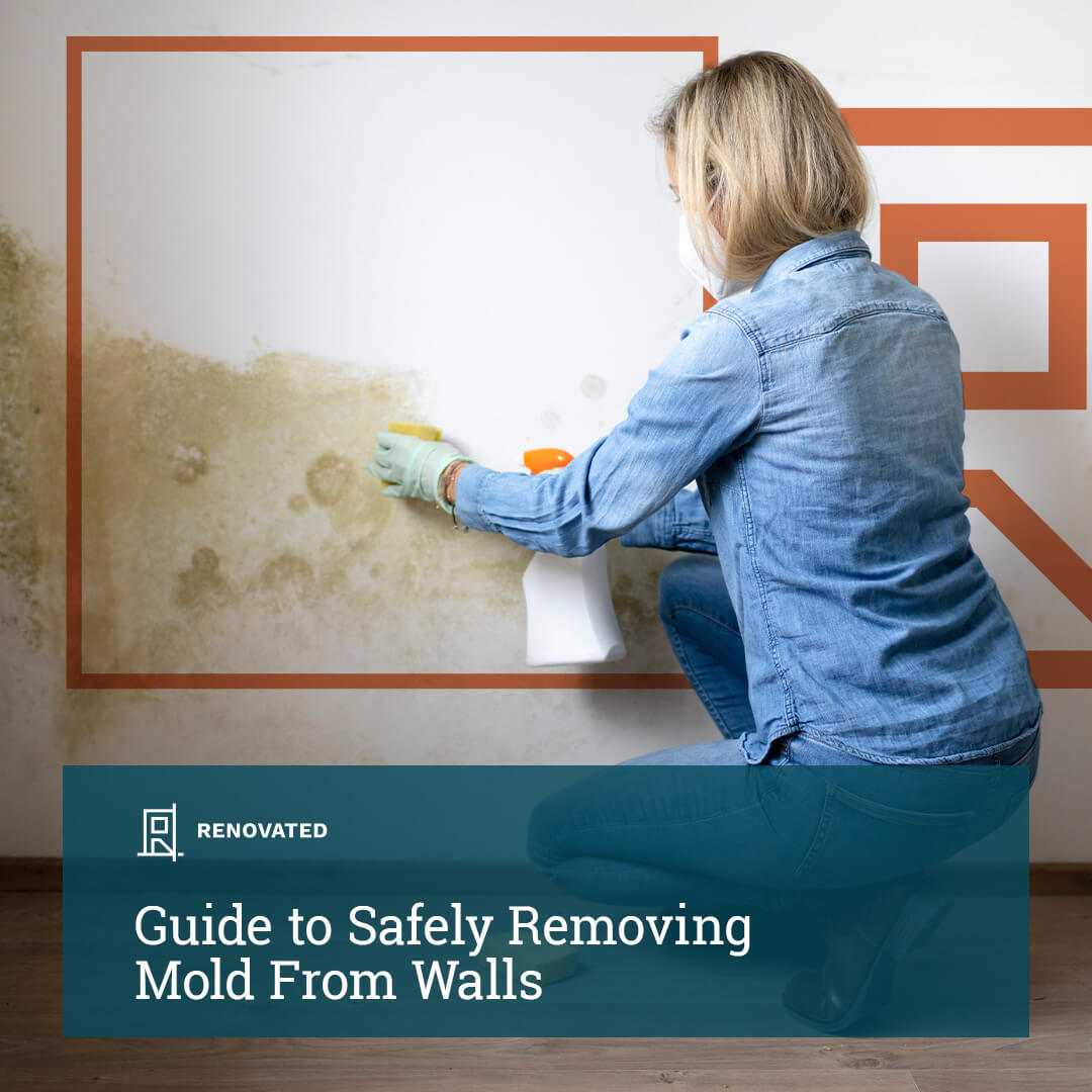 Guide To Safely Removing Mold From Walls Renovated   Facebook Guide To Safely Removing Mold From Walls 