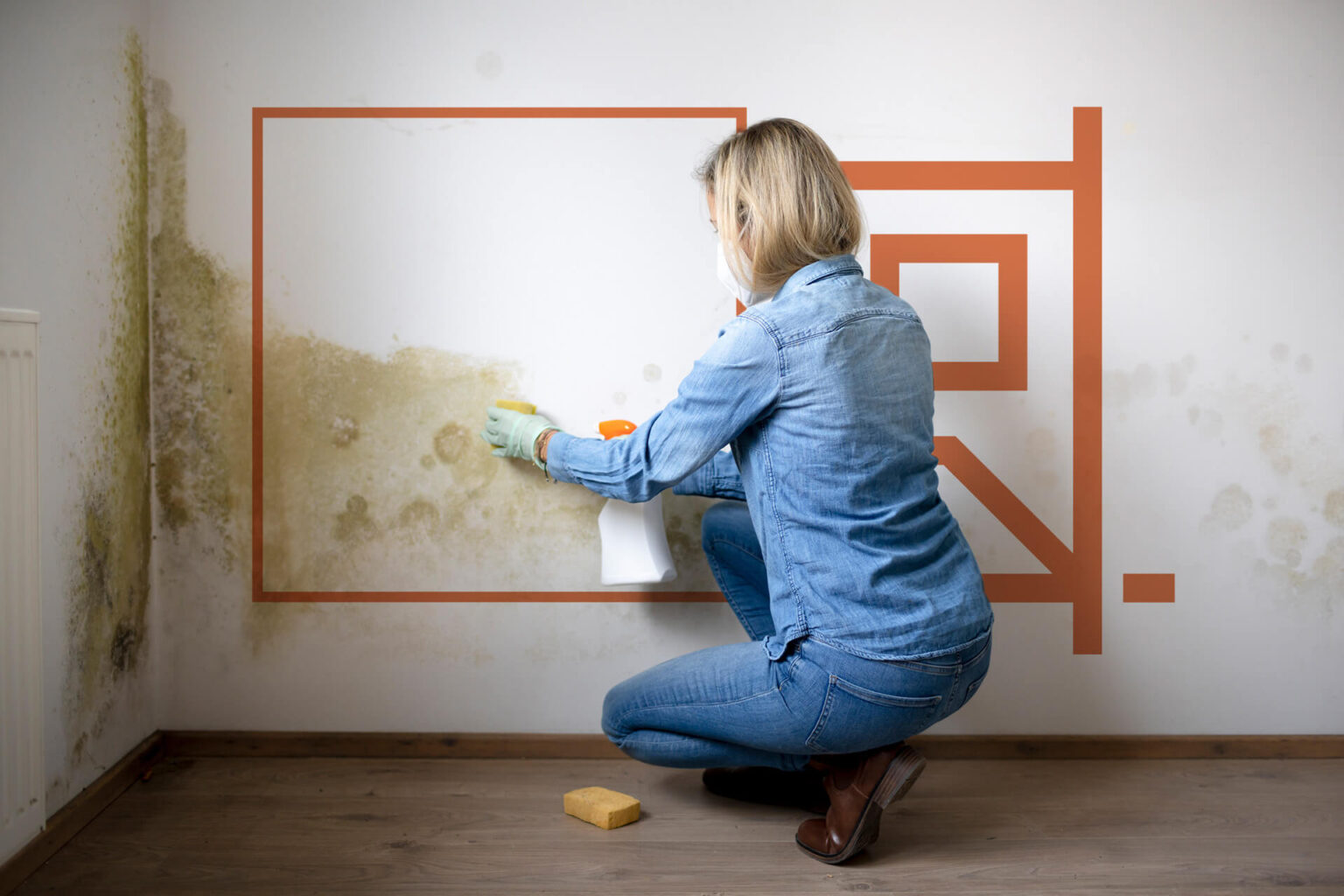Guide to Safely Removing Mold From Walls Renovated