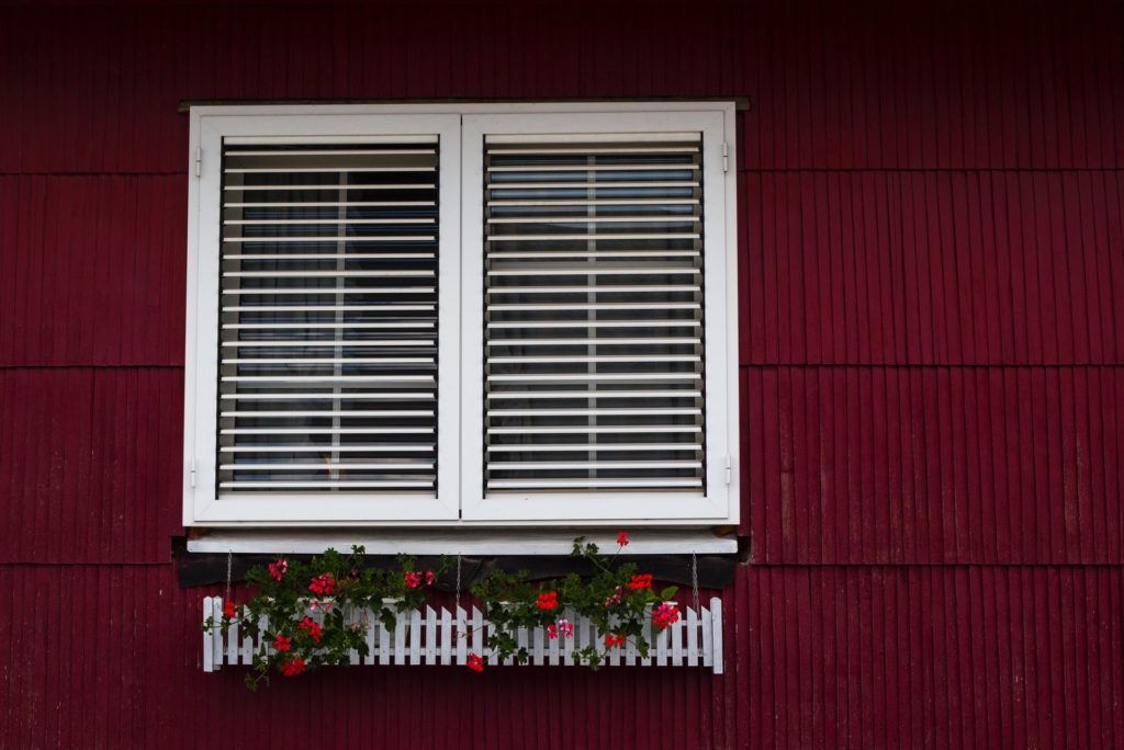 best plants for window boxes