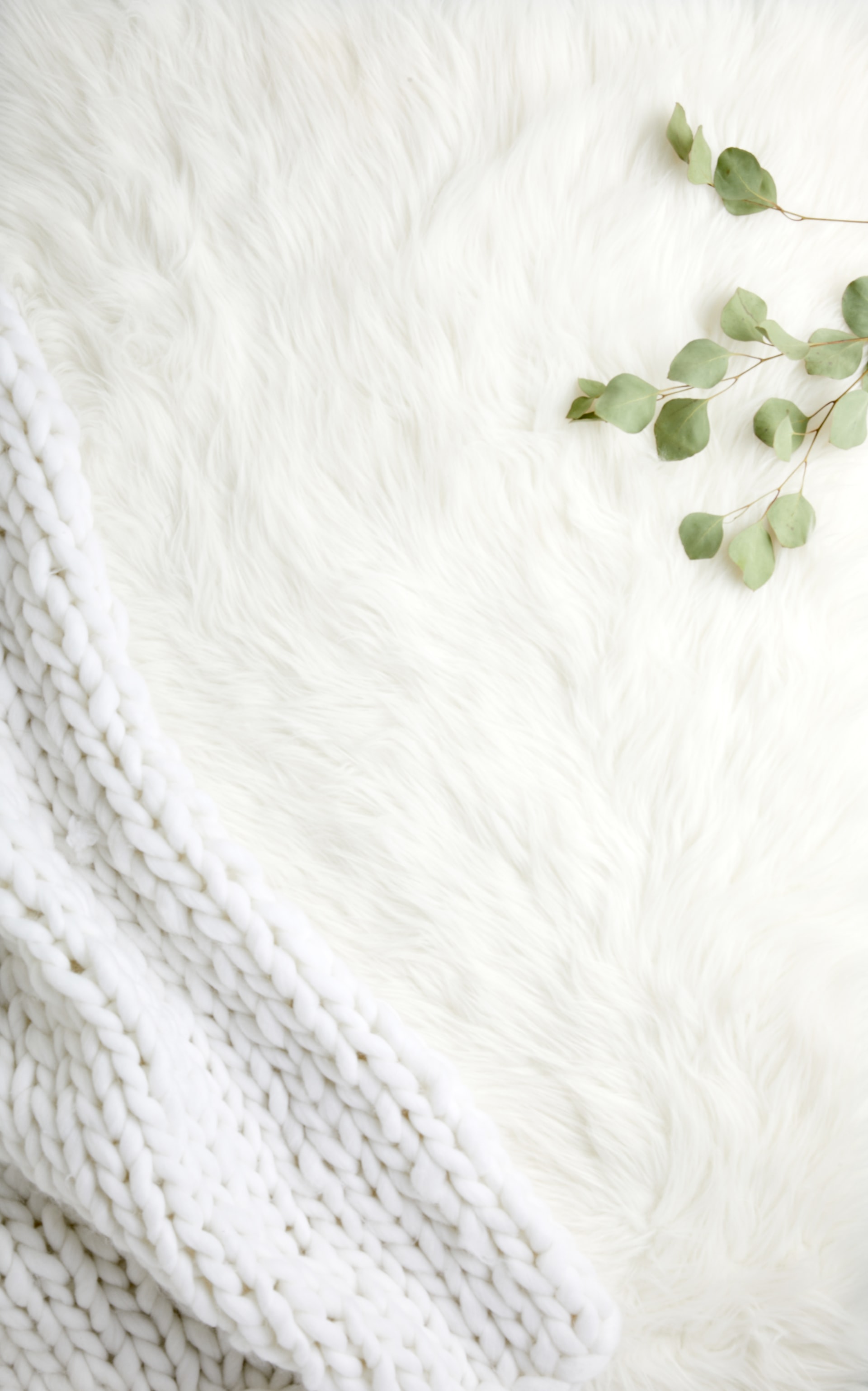 a long white fur shag rug with greenery