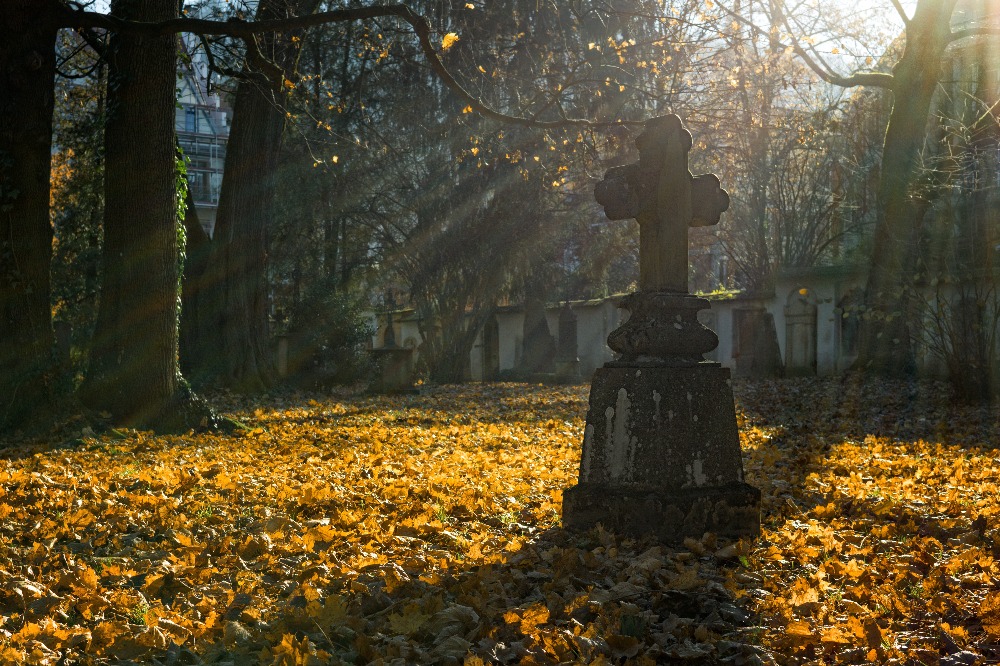 a cemetery is an unexpected factor that affects property value