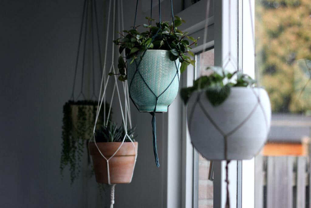 four potted plants hanging by a window as a living room decorating idea
