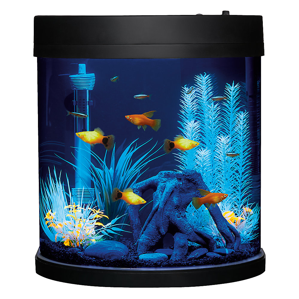 half crescent fish tank