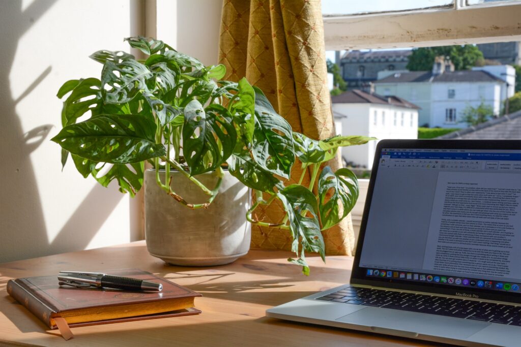 a desk with a laptop with sunlight shining and a plant