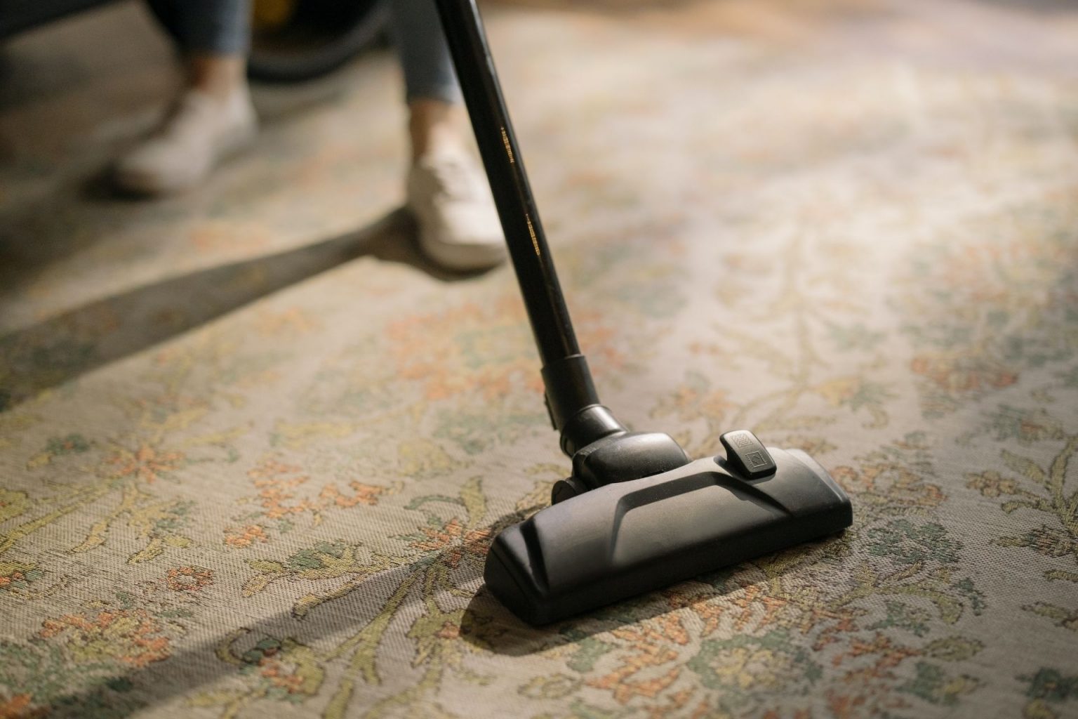 How to Choose an EcoFriendly Vacuum (Updated for 2023) Renovated