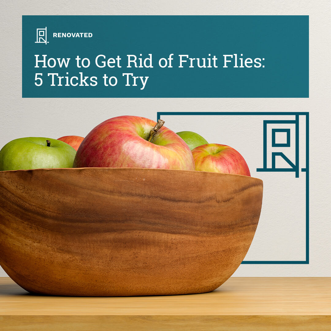 How To Get Rid Of Fruit Flies 5 Tricks To Try Renovated   Facebook How To Get Rid Of Fruit Flies 