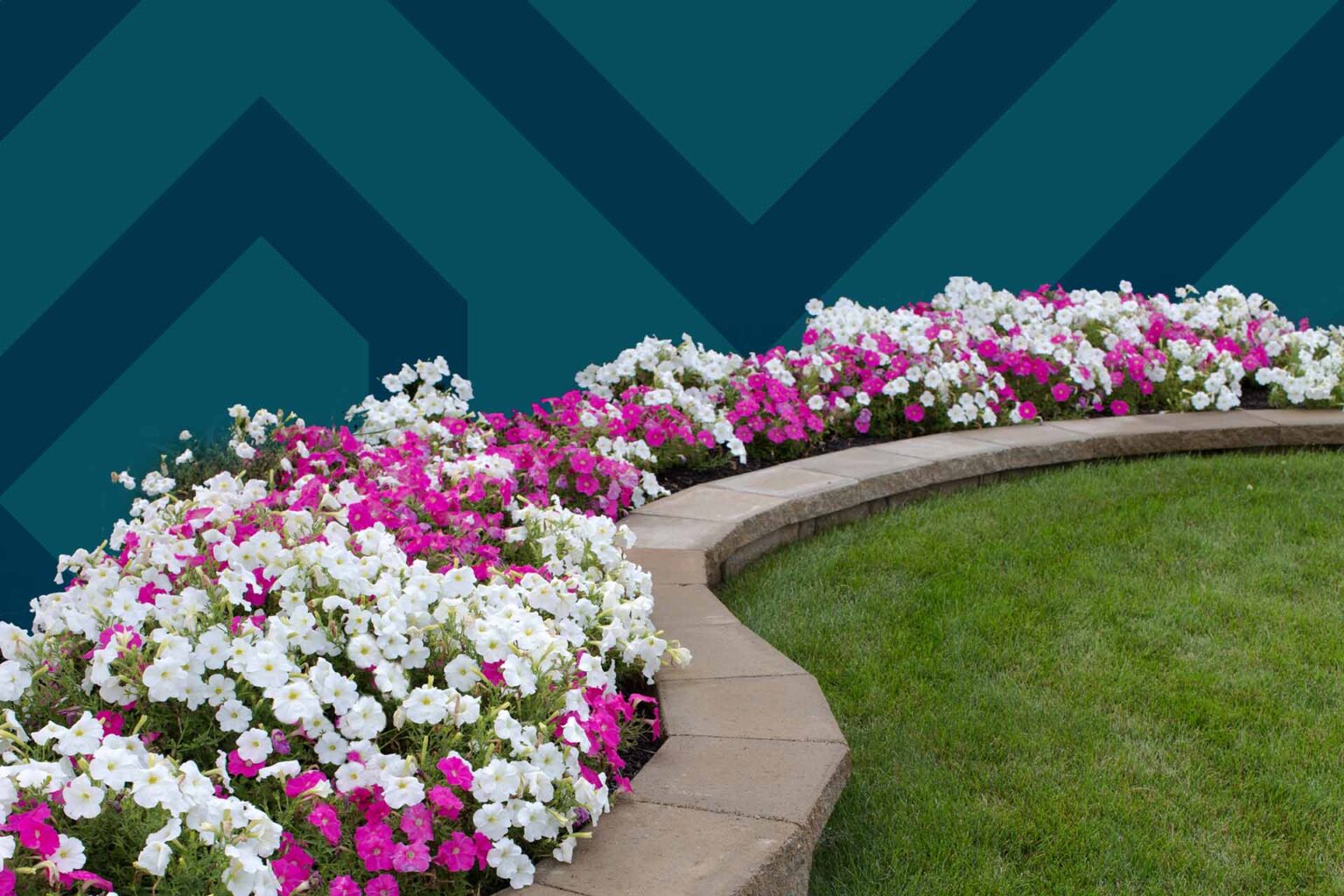 How to Make a Flower Bed Renovated