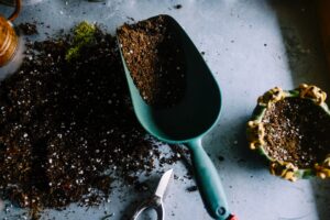 how to start composting