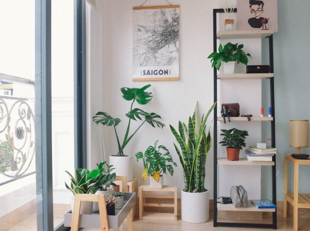 indoor plant decoration ideas