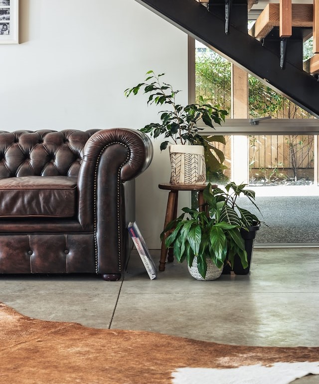 a brown leather couch with a tanned hide rug for the best rustic colors for the living room