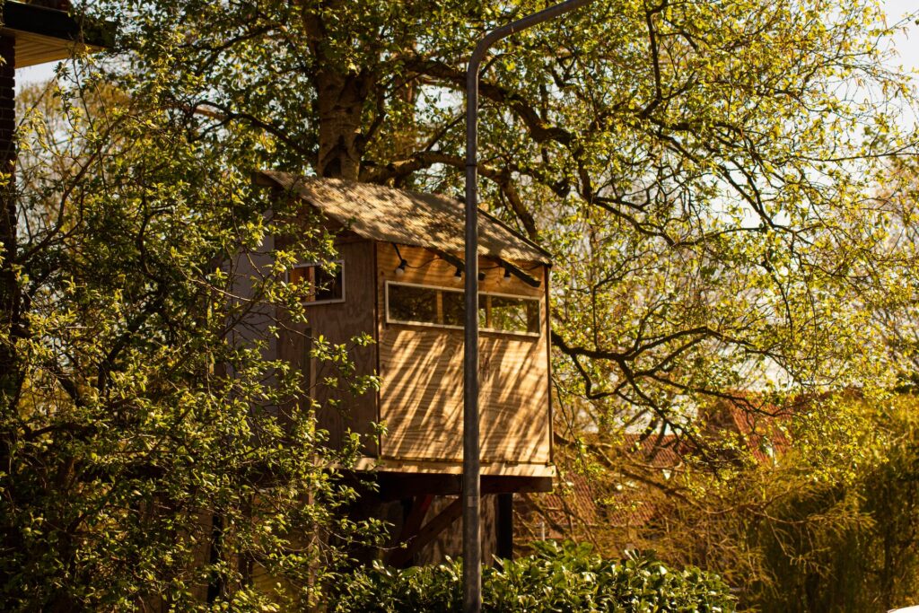 a beautiful treehouse design in a forest