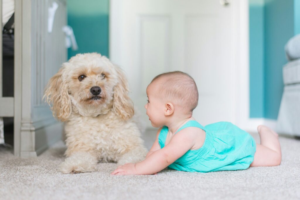 dog and baby on a carpet