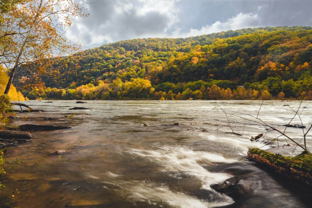 A river running through a West Virginia forest in the fall