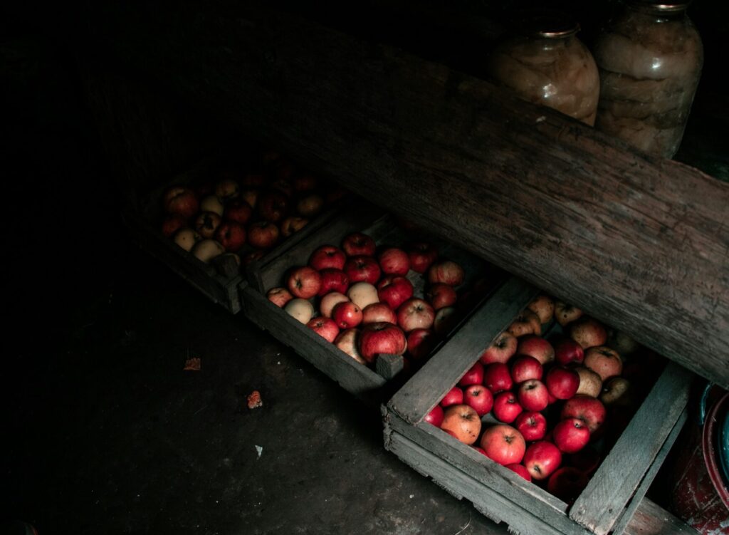 Three boxes of apples sit under open shelving made from the trunk of a tree. They're presumably in a root cellar.