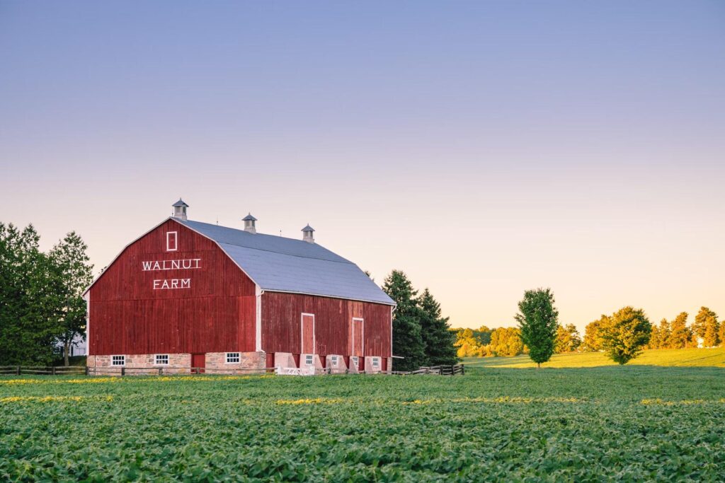 walnut farm barn in green field