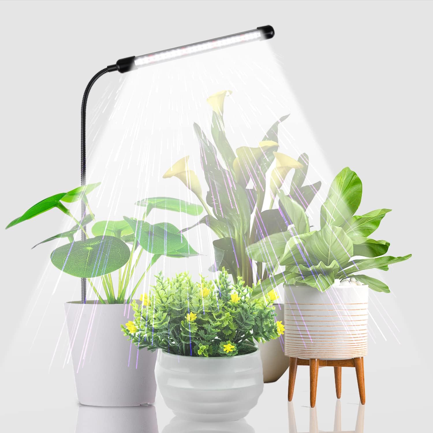 The Best Artificial Light for Plants This Winter (Updated for 2023