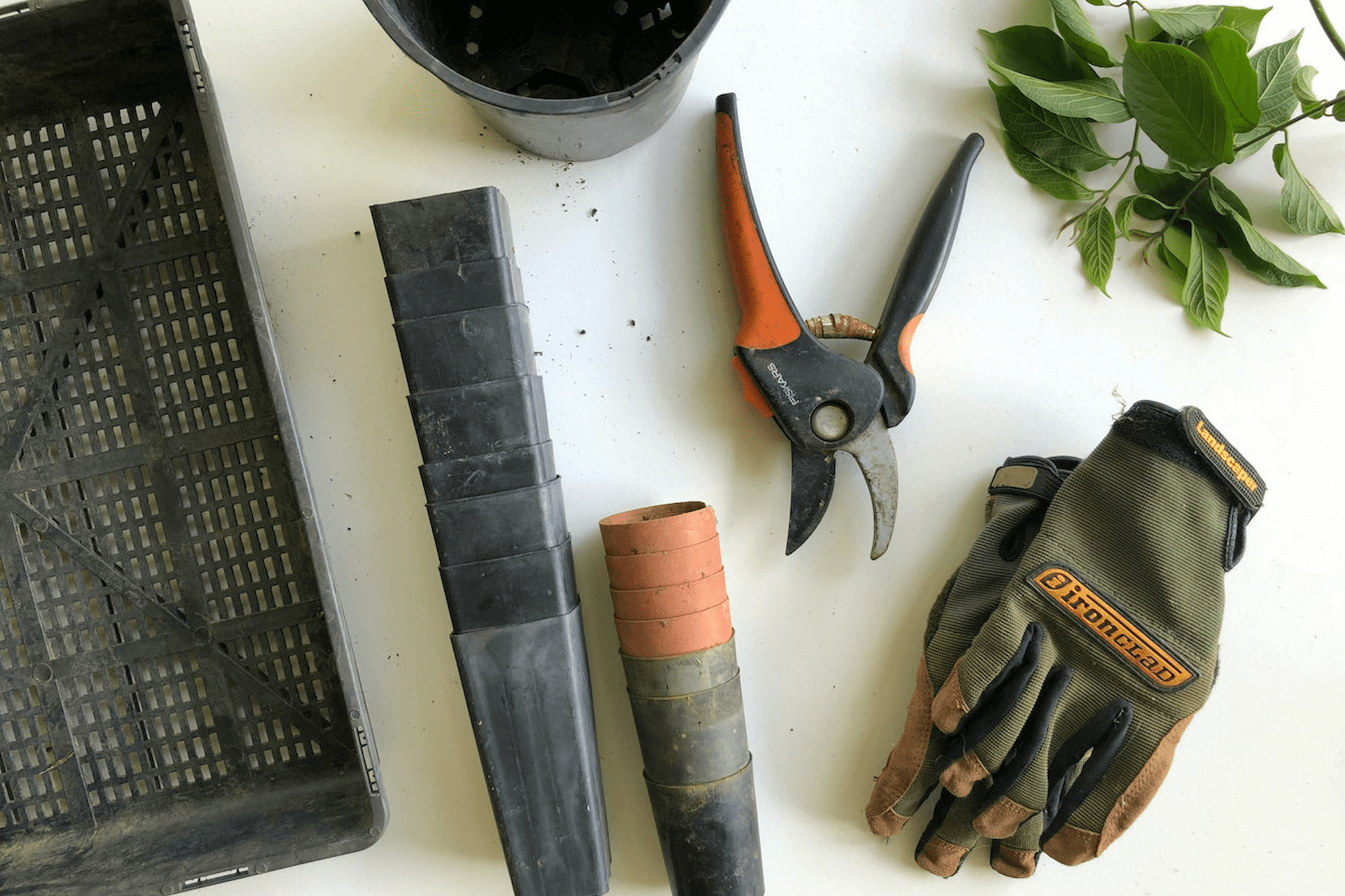 garden tools - a pair of gloves, a pruner and pots