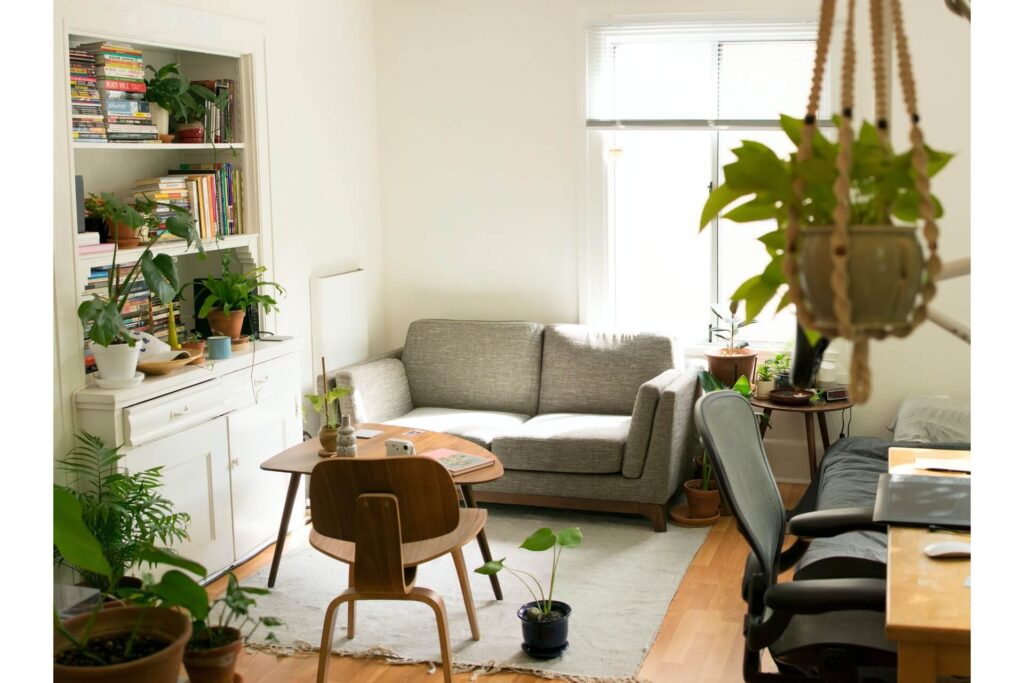 Sunny home office with plants