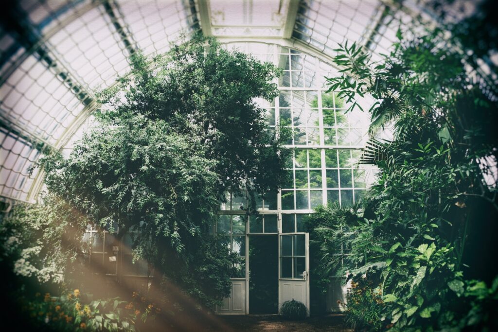 Large Greenhouse