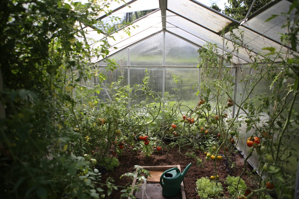 Inside a Greenhouse