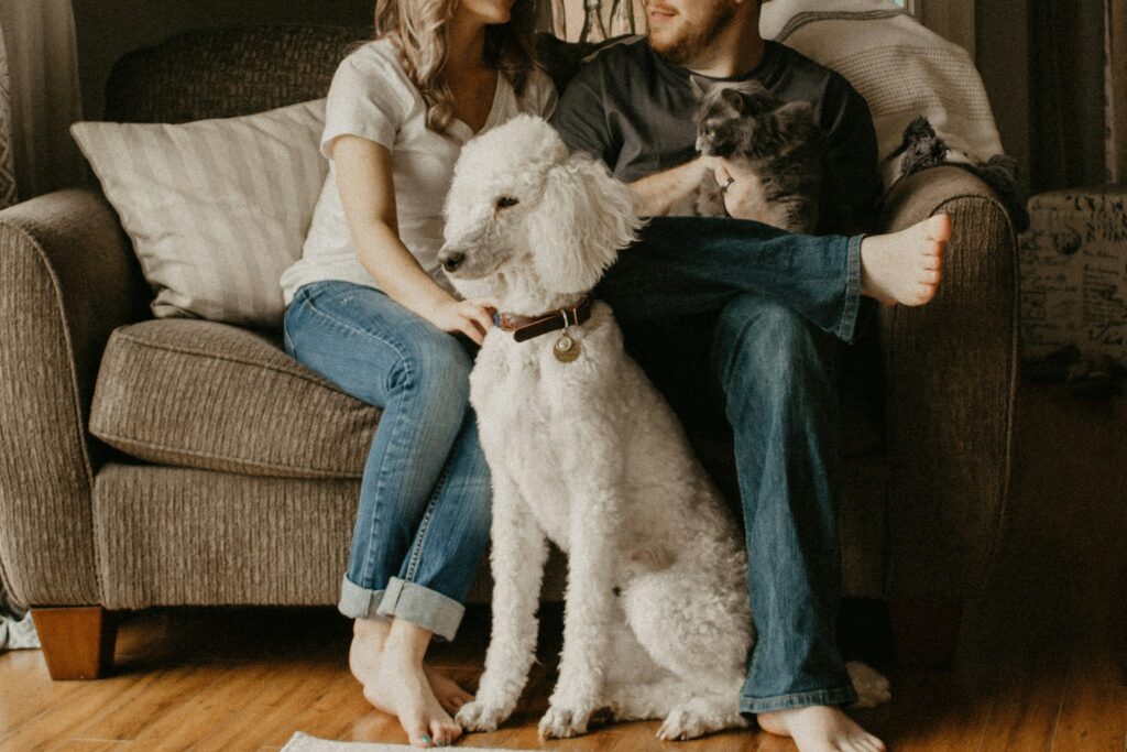 A couple with one of the best apartment pets.