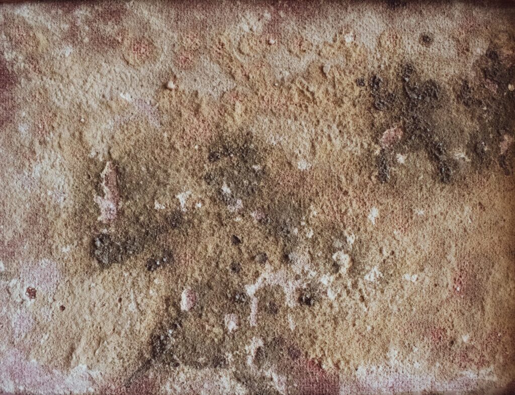 Varying shades of light and dark brown mold cover a surface resembling a textile fabric. Some spots of the mold are also white and a red tint is along the edges of the fabric.