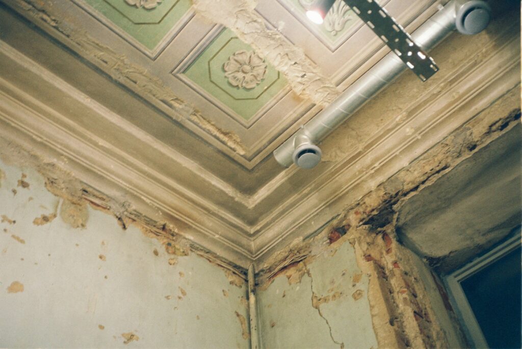 An old room with a paneled ceiling is covered in mold and decaying. The ceiling has slightly green squares with carved white flowers in them. The corner of a ceiling is in the middle of the frame and the walls on either side are rotting with mold. A stretch of metal lighting partially extends across the ceiling.