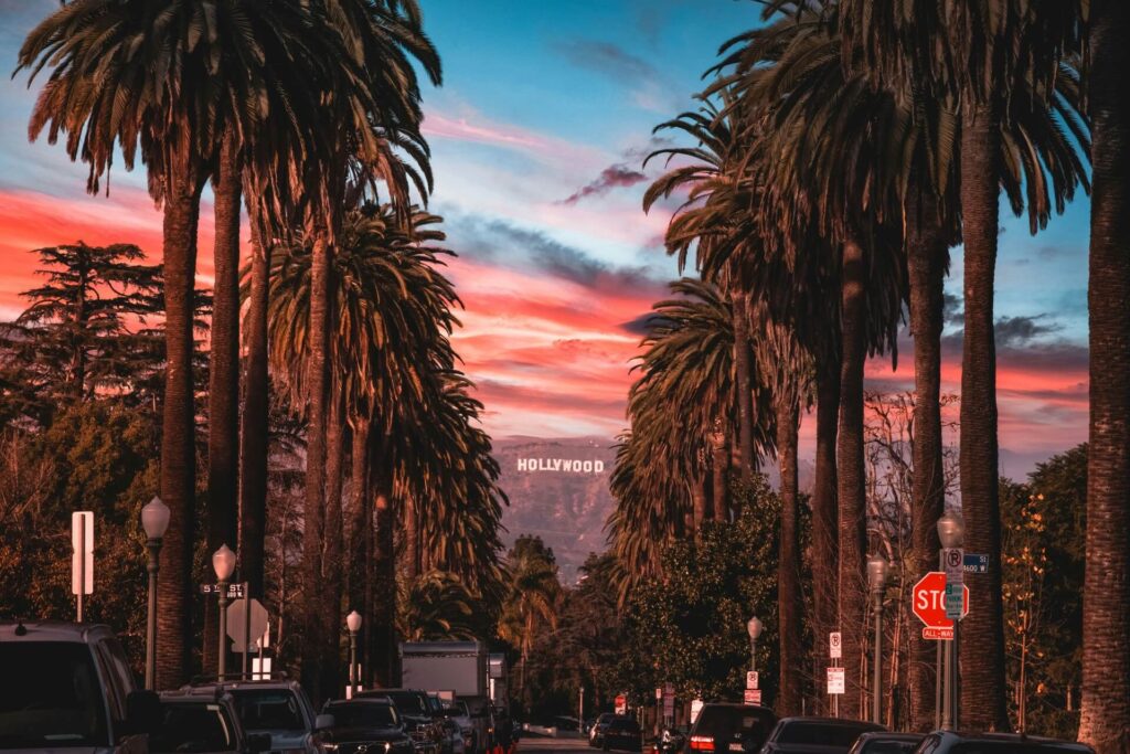 Palm trees flanking Windsor Boulevard with a view of the Hollywood sign.