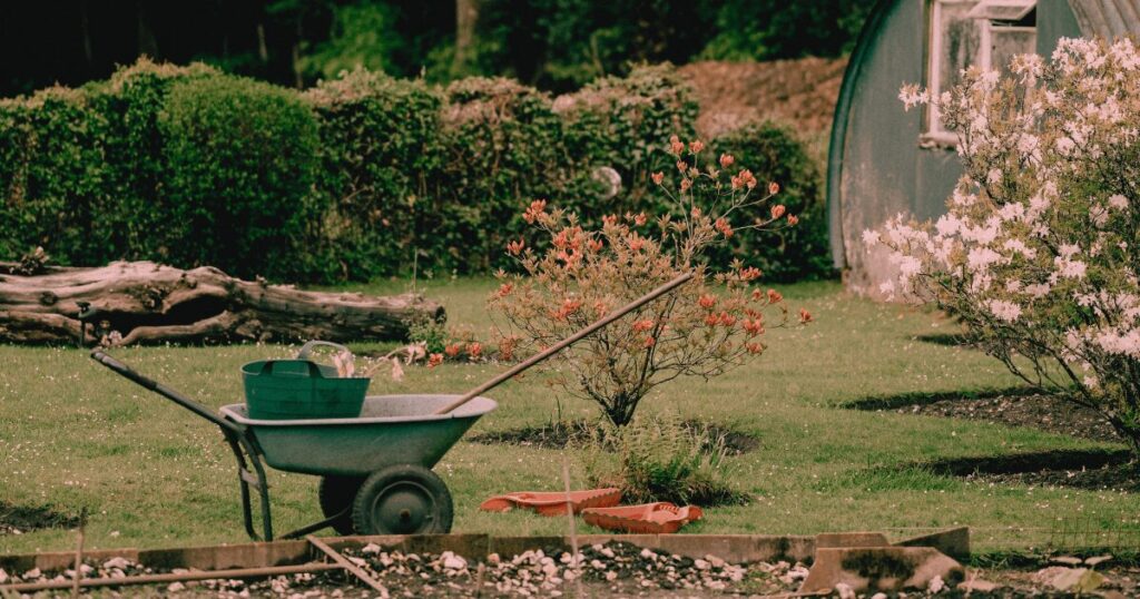 A residential garden with a wheelbarrow and tools and garden shed