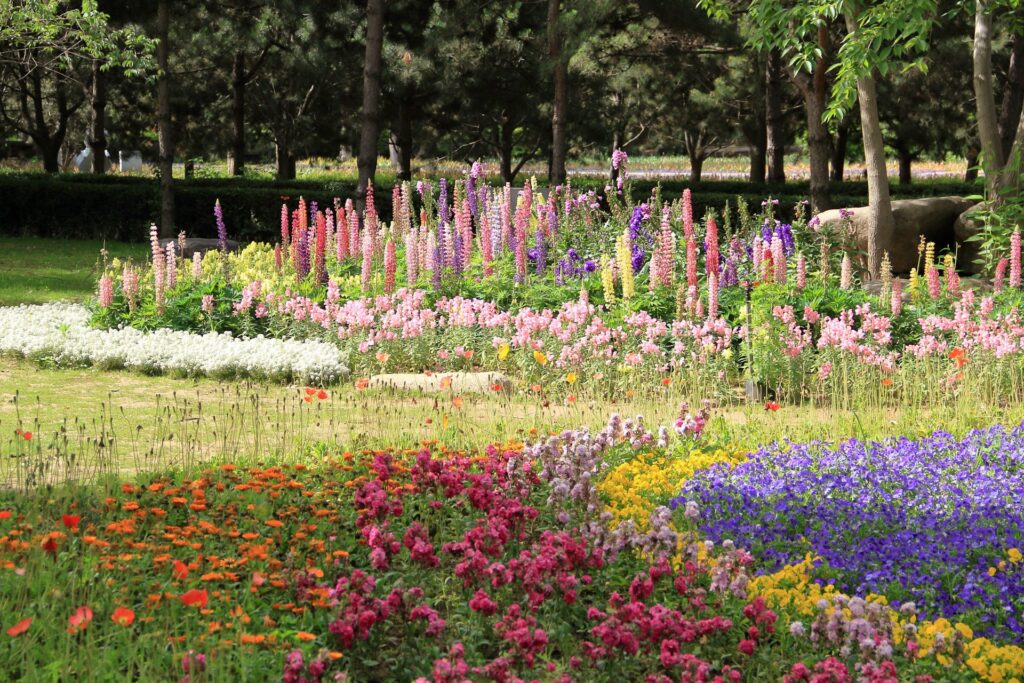 A field of rainbow hued flowers fill the lens with trees in the distance behind them.