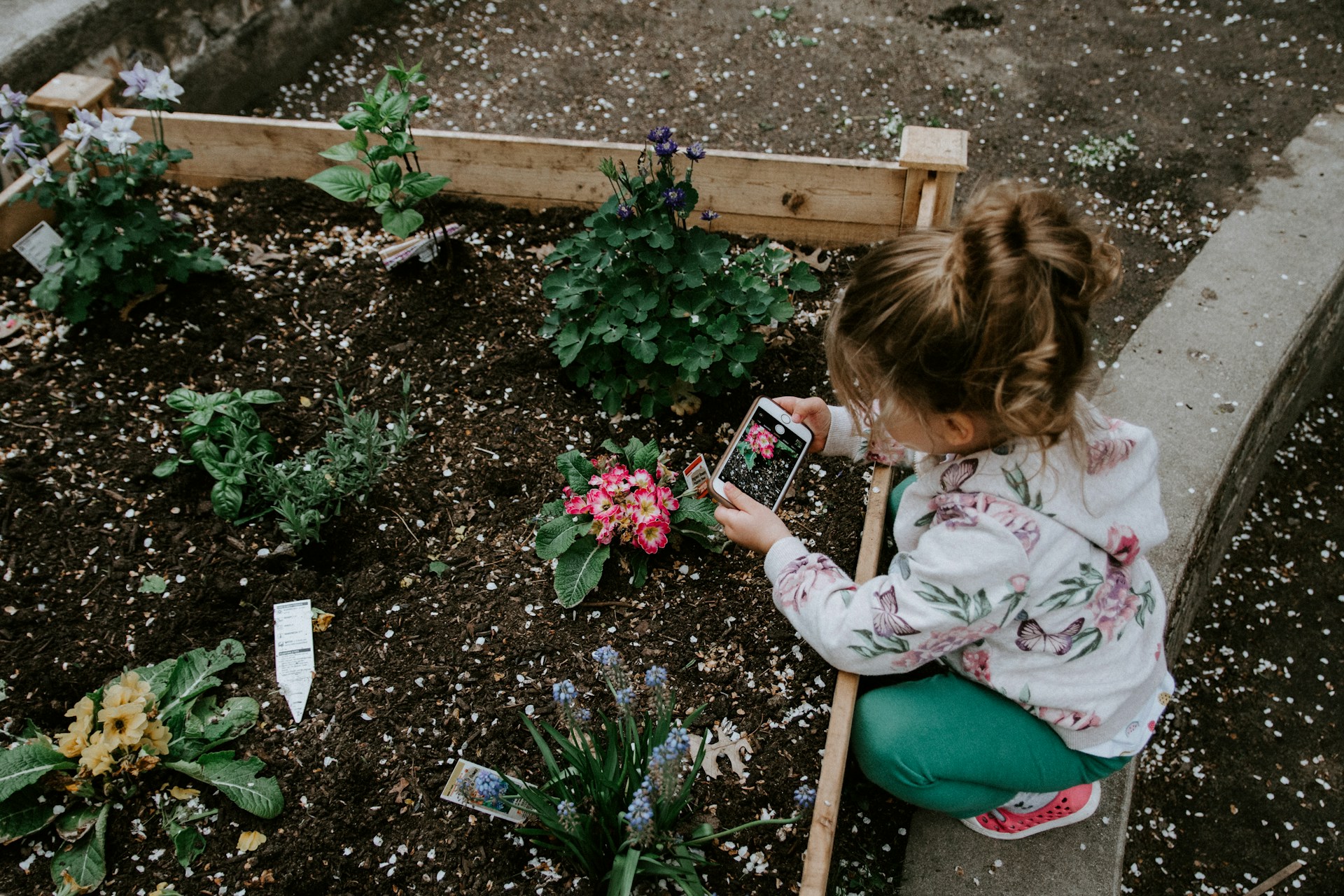 child taking photo of sensory garden