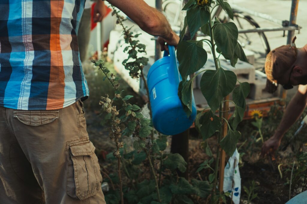 A man in brown cargo shorts and a blue, orange and black plaid shirt waters an indoor garden with another man. He uses a bright blue watering can.