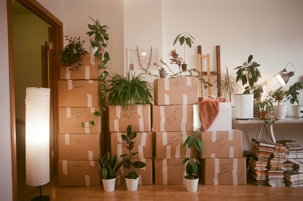 House with moving boxes and housewarming plants from the homeowner tradition.