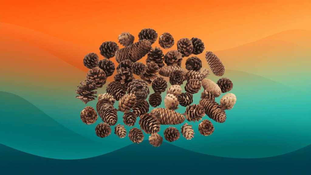 pinecones for fall centerpiece ideas in front of an orange and teal background