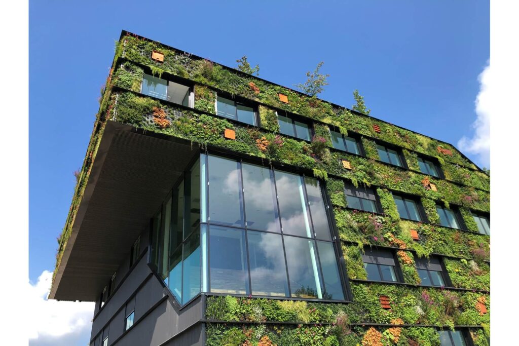 A building facade covered with vegetation.