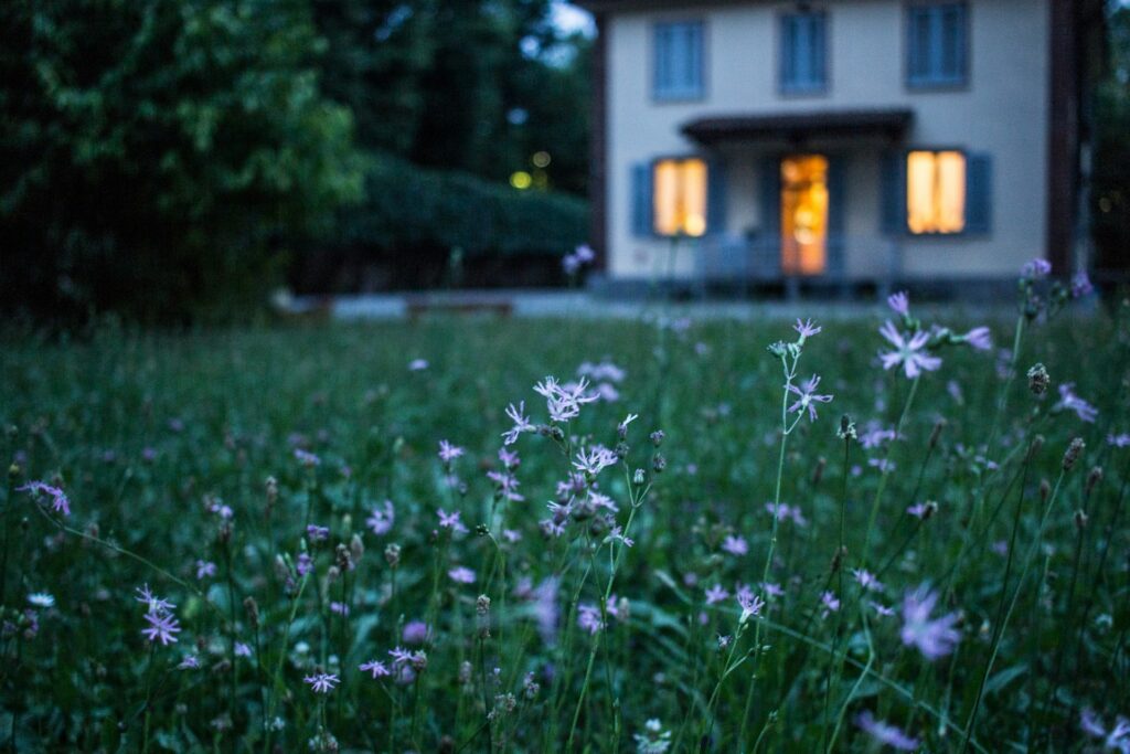 A yar with flowers with a home in the background.