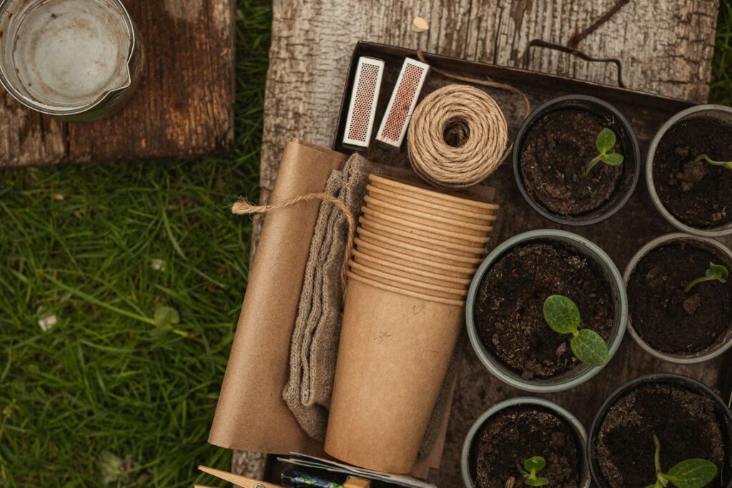 medicinal garden kits