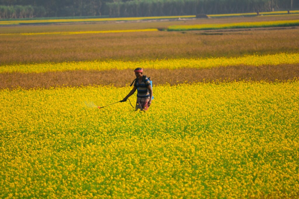 A man spraying pesticides in a field.