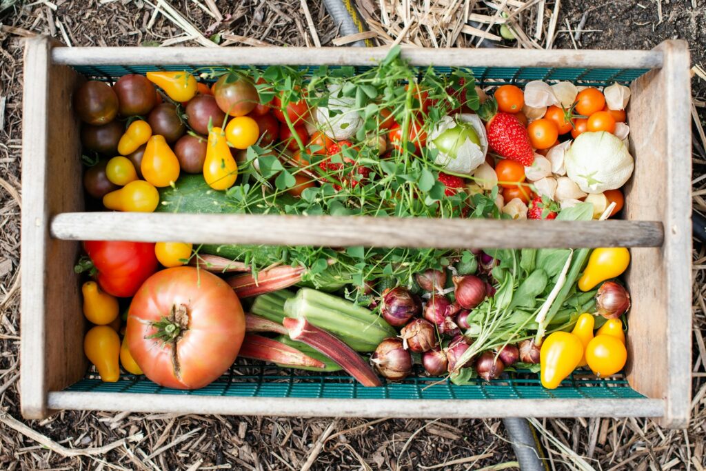 Produce from an edible garden.