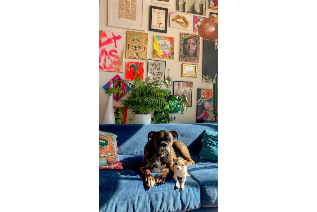 Two dogs sitting on a maximalist living room couch